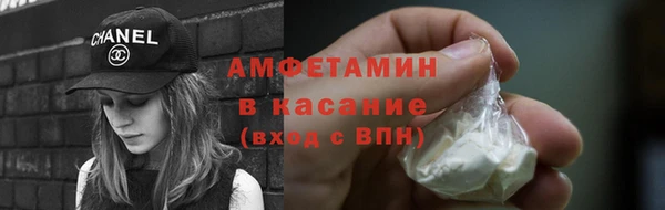 прущие грибы Белокуриха